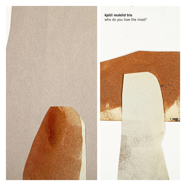 KJETIL MULELID TRIO - Who Do You Love The Most? Vinyl LP