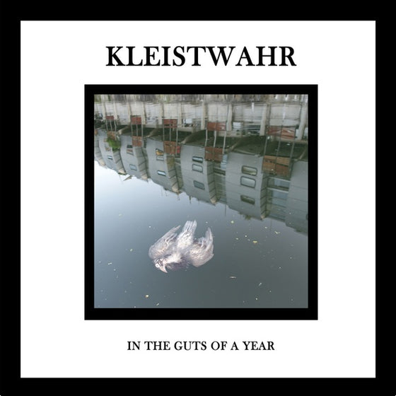 KLEISTWAHR - In the Guts of a Year CD