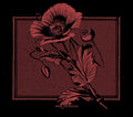 KOLLAPS - Until The Day I Die CD CD