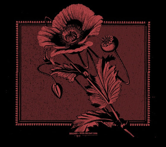 KOLLAPS - Until The Day I Die CD
