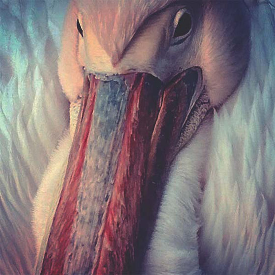 KONNTINENT - The Empire Line CD