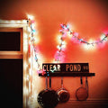 Kristin Hersh - Clear Pond Road (CLEAR VINYL) Vinyl LP Clear Vinyl [w/ download card]