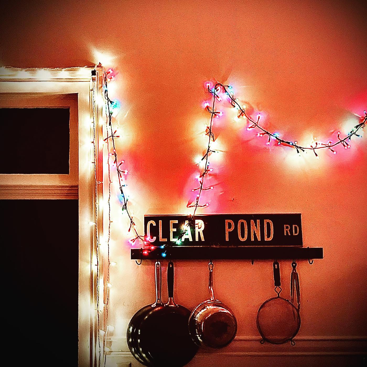 Kristin Hersh - Clear Pond Road (CLEAR VINYL) Vinyl LP Clear Vinyl [w/ download card]