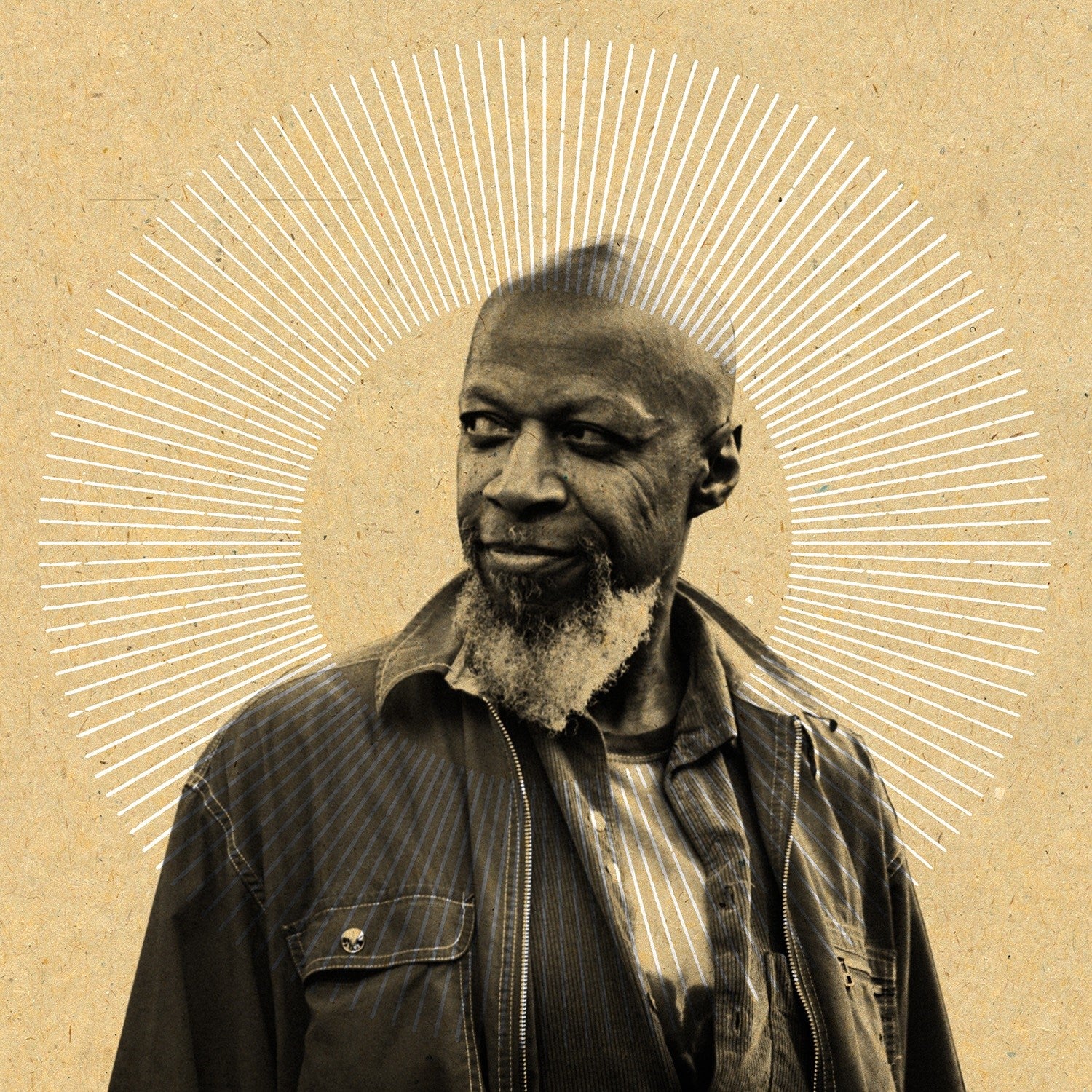 Laraaji - Sun Transformations Vinyl LP Vinyl
