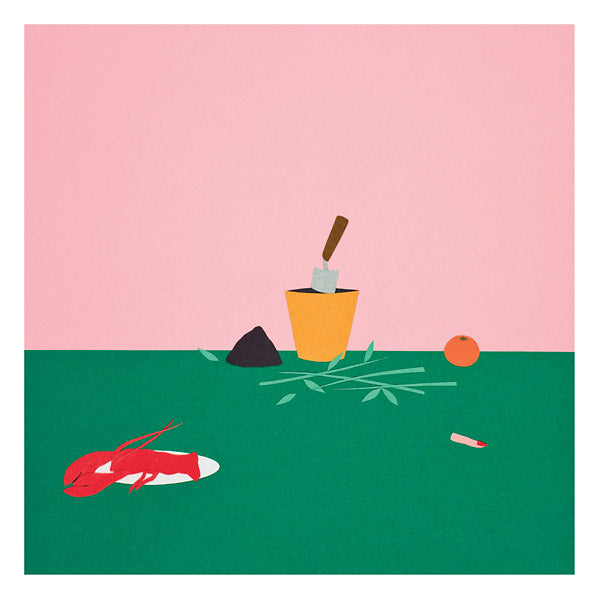 LE FRUIT VERT - Passiflore Vinyl LP