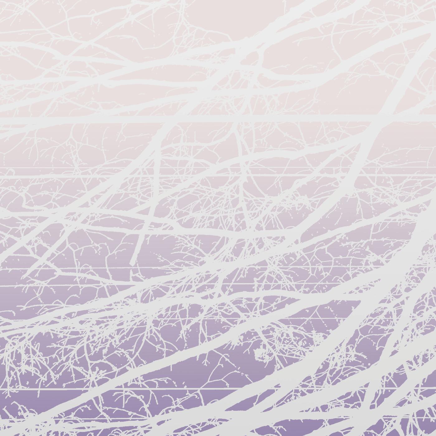 Lea Bertucci - Metal Aether / Resonant Field Vinyl 2LP gatefold [w/ download card]
