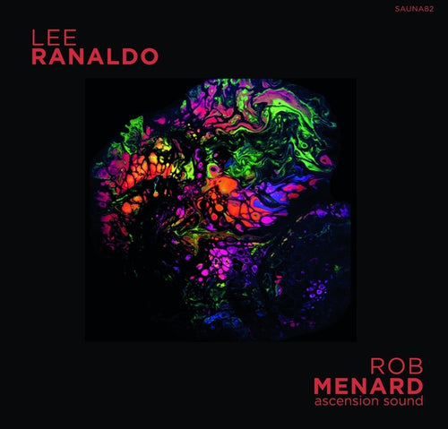LEE RANALDO/ROB MENARD - Lee Ranaldo/Rob Menard Split Release Cassette Cassette