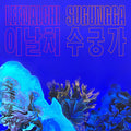 Leenalchi - Sugungga Vinyl
