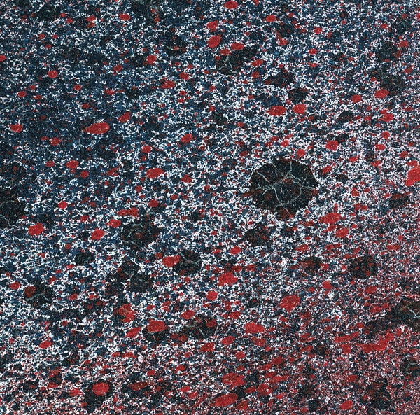 LEITMOTIV LIMBO - Superior State Vinyl LP