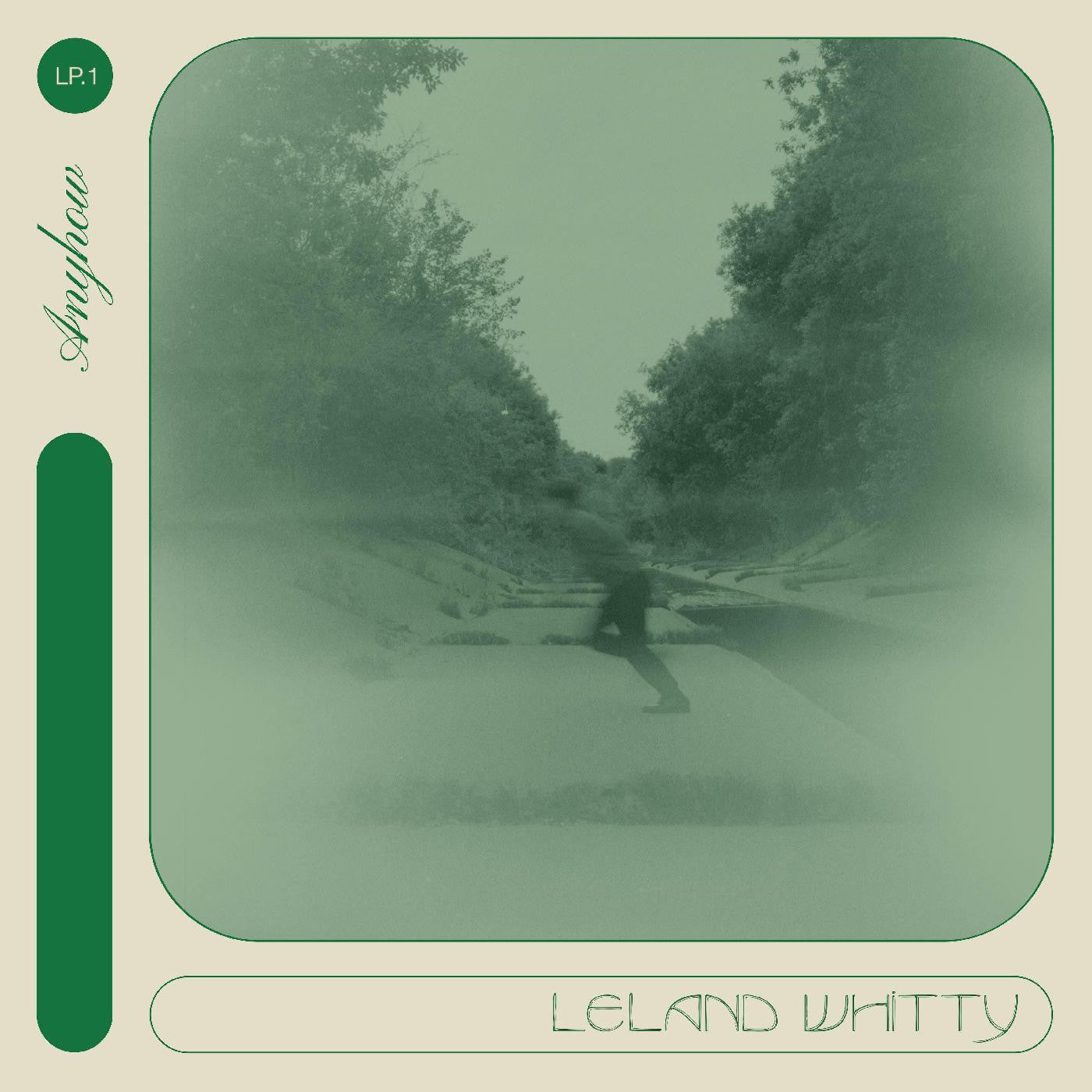 Leland Whitty - Anyhow Vinyl LP Standard Jacket [w/ download card]