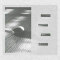 Leon Todd Johnson - Wa Kei Sei Jaku CD