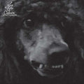 LES FILS DU CALVAIRE - Femmes d'Affaires Vinyl 12"