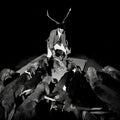 LES MARQUISES - A Night Full Of Collapses Vinyl LP