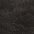 Lesley Mok - Transient Vinyl