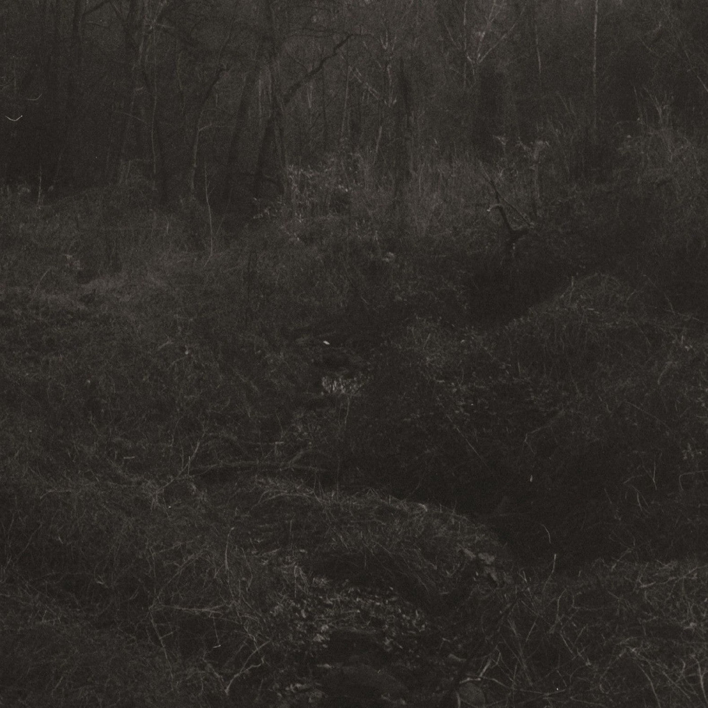 Lesley Mok - Transient Vinyl