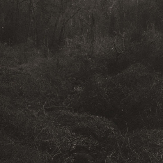 Lesley Mok - Transient Vinyl