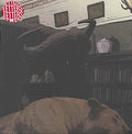 LETTERS LETTERS - Letters Letters Vinyl LP