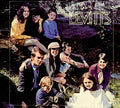 LEVITTS - We Are The Levitts CD CD