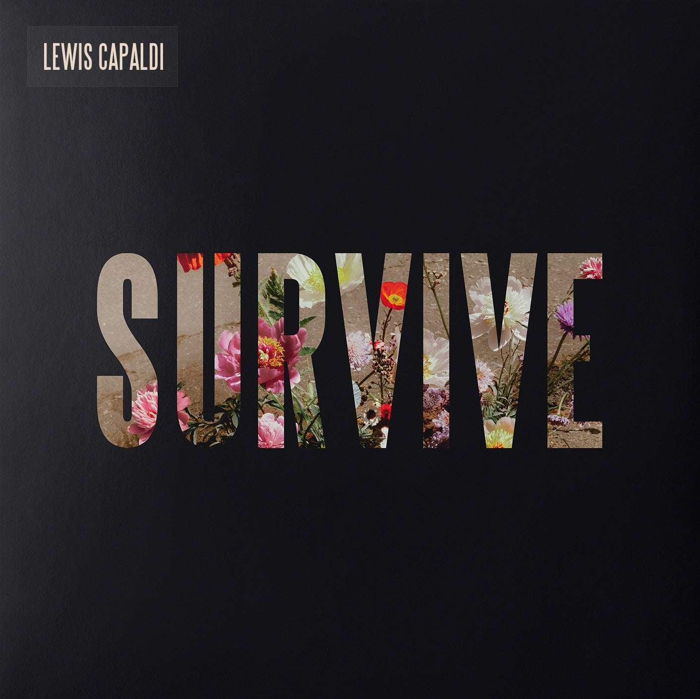 Lewis Capaldi - Survive [Clear 12" EP] Vinyl