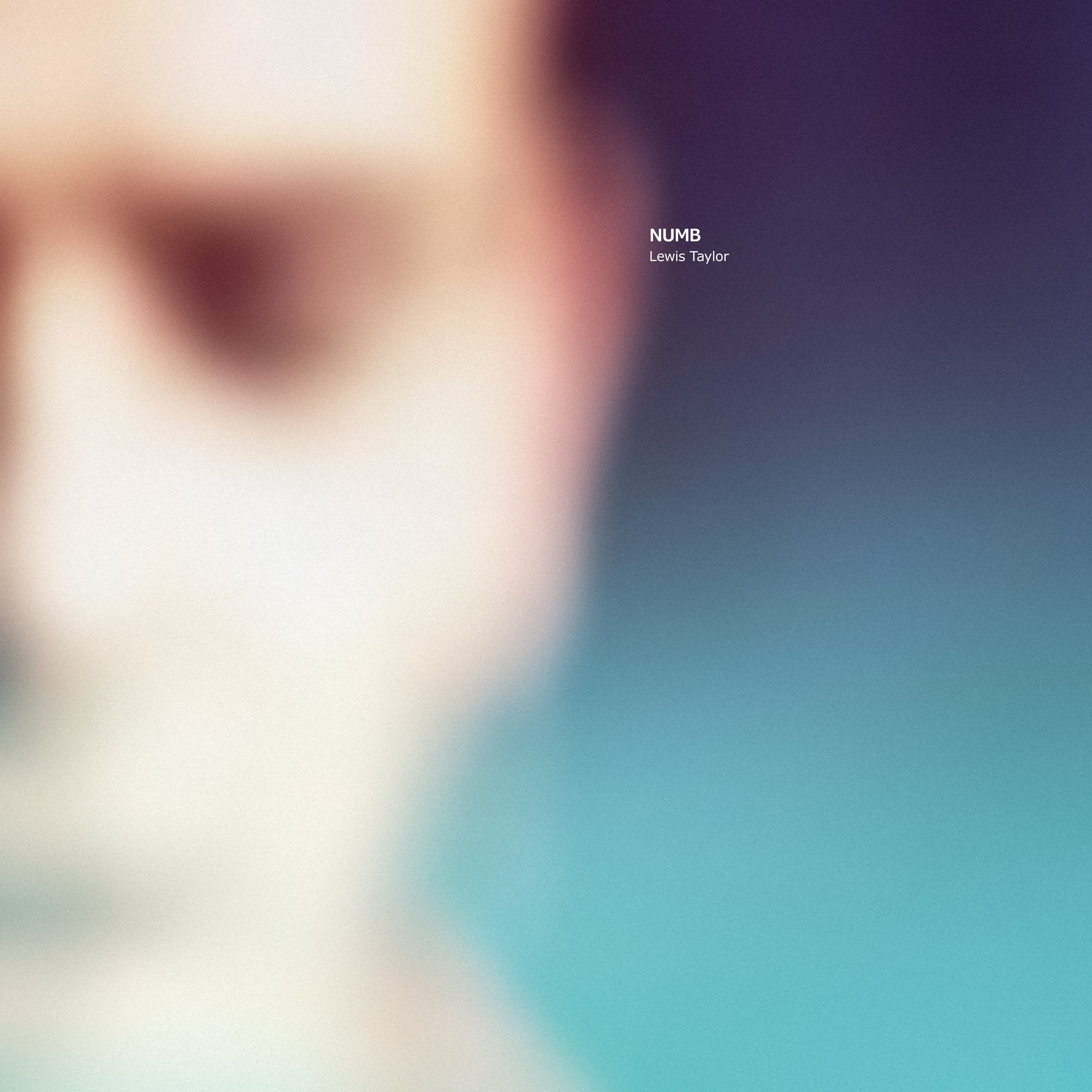 LEWIS TAYLOR - Numb Vinyl 2LP Black