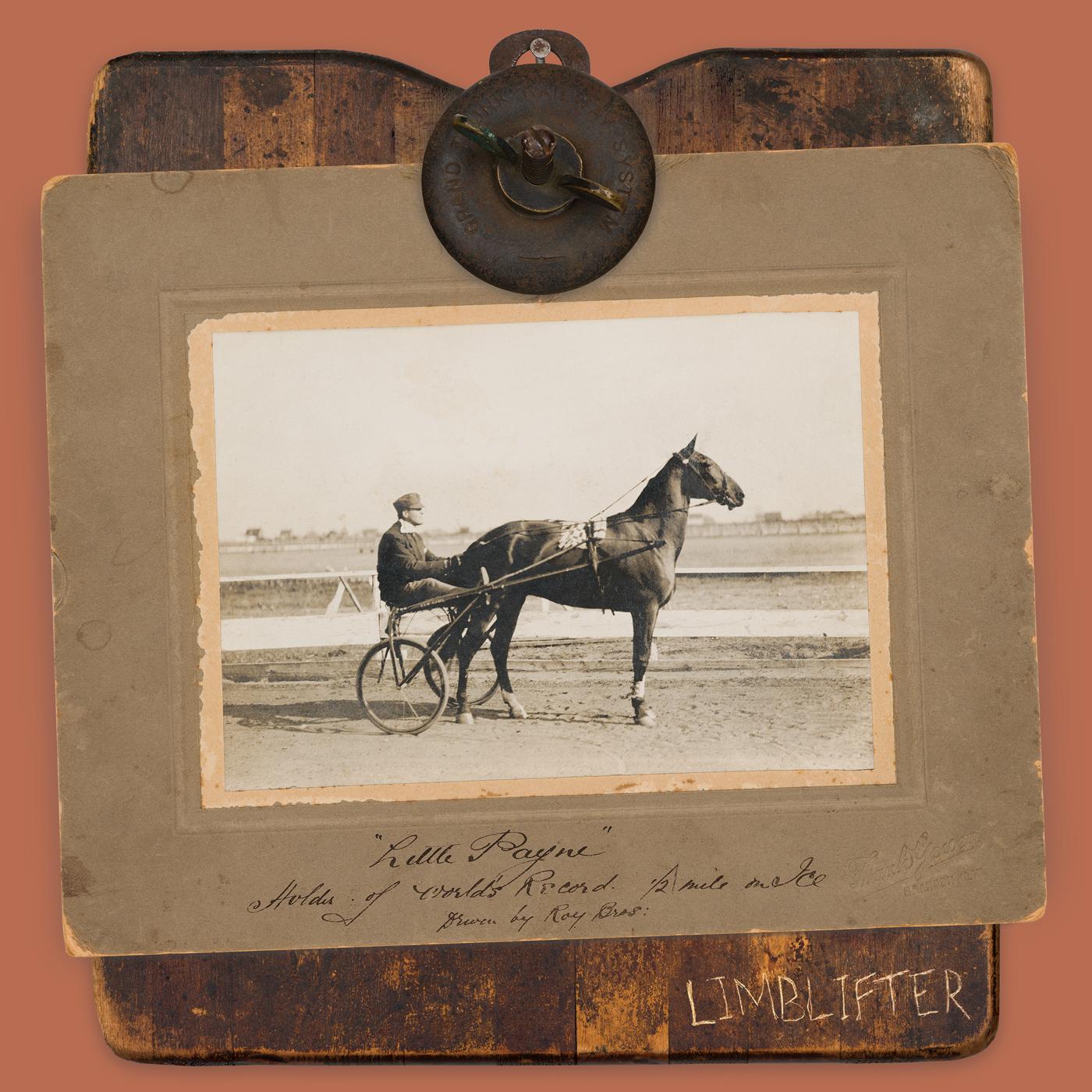 Limblifter - Little Payne Vinyl LP