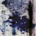Limpe Fuchs/Mark Fell - Dessogia/Queetch/Fauch Vinyl 3LP