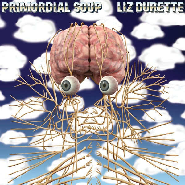 LIZ DURETTE - Primordial Soup Vinyl LP