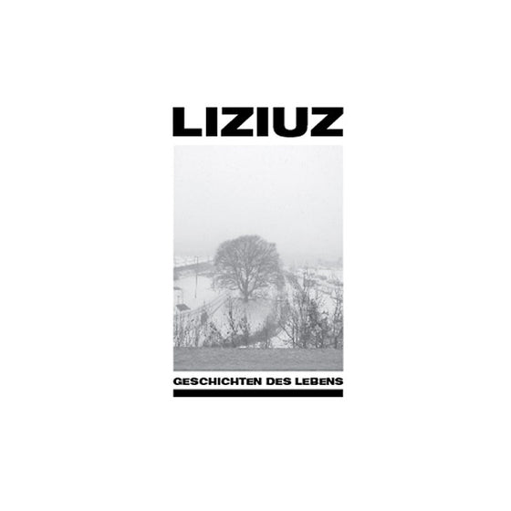 LIZIUZ - Geschichten Des Lebens CD 2CD