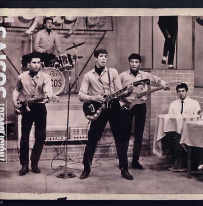 LOS SAICOS - Demolicion: The Complete Recordings Vinyl LP