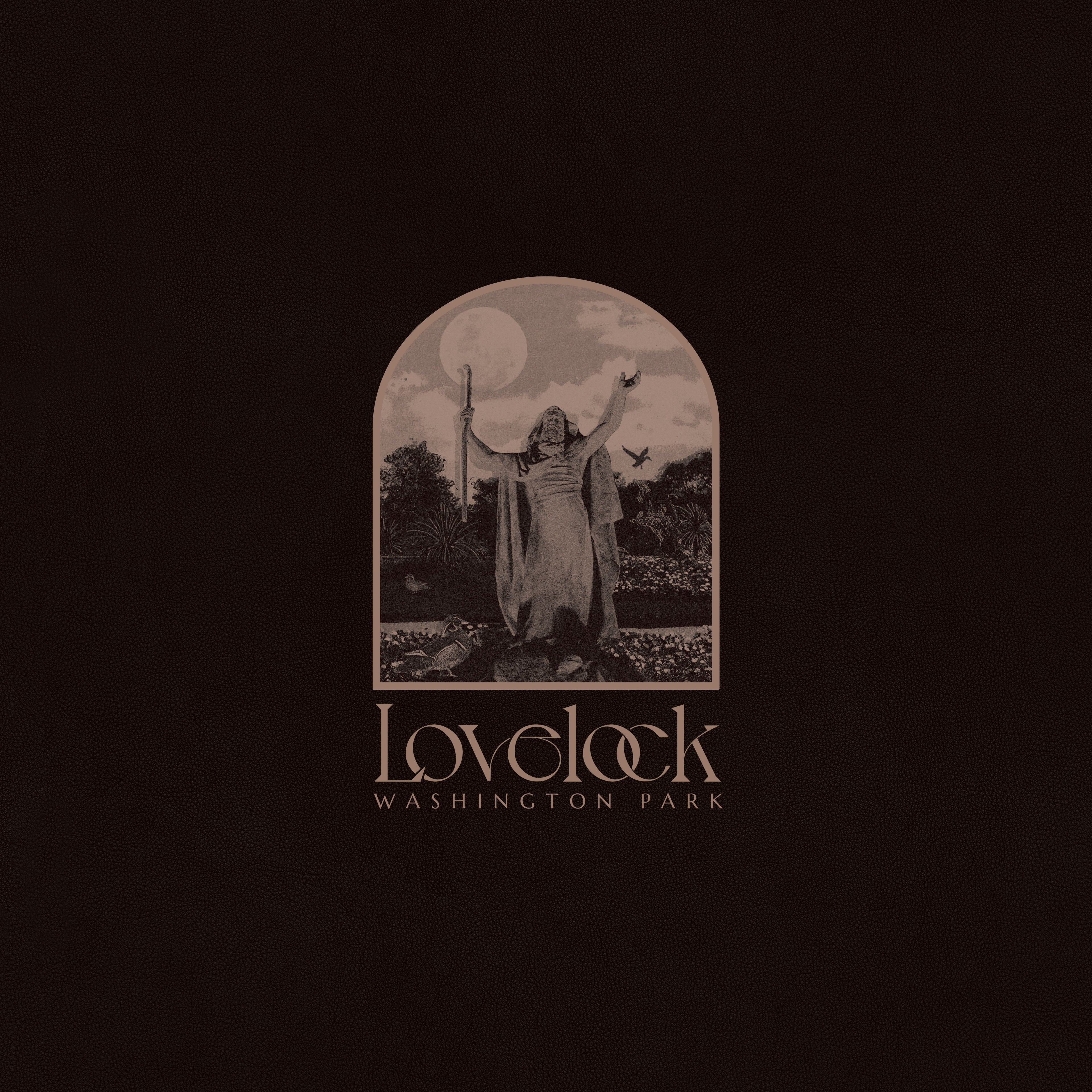 LOVELOCK - Washington Park Vinyl LP Black