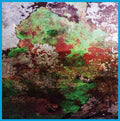 LST - Th Duo Vinyl LP