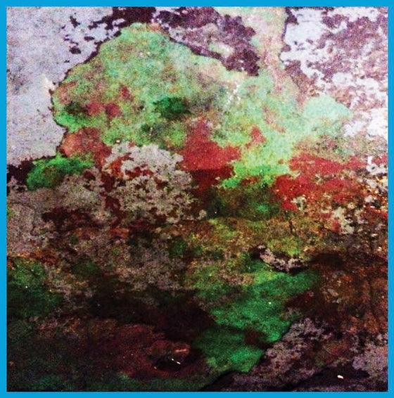 LST - Th Duo Vinyl LP