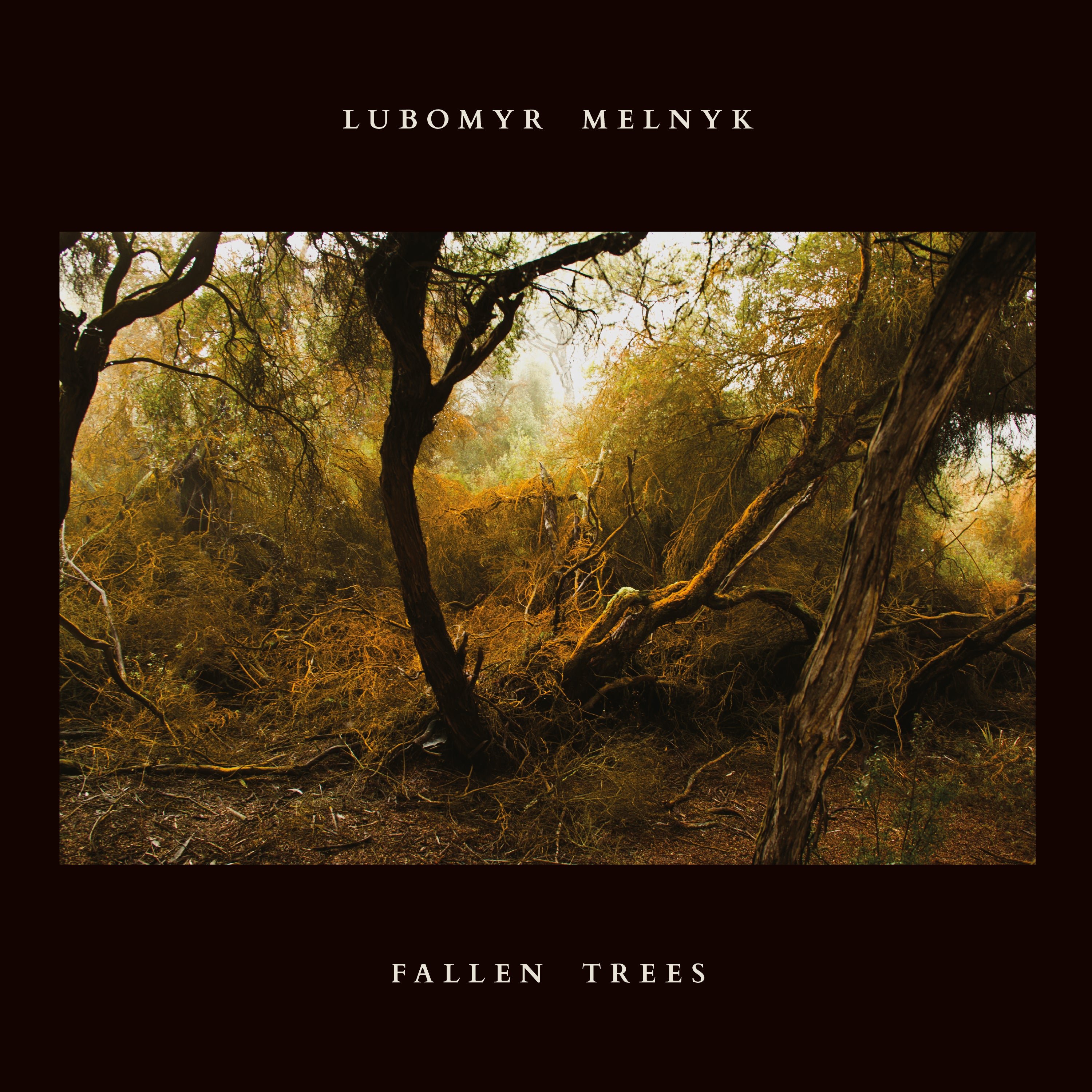 Lubomyr Melnyk - Fallen Trees CD CD