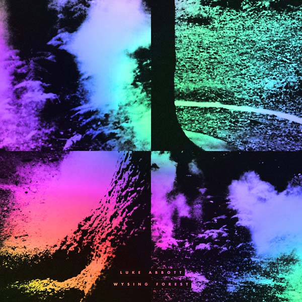 LUKE ABBOTT - Wysing Forest Vinyl LP