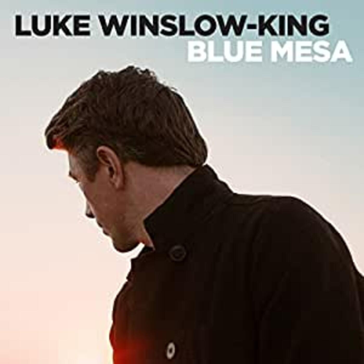 Luke Winslow-King - Blue Mesa Vinyl LP