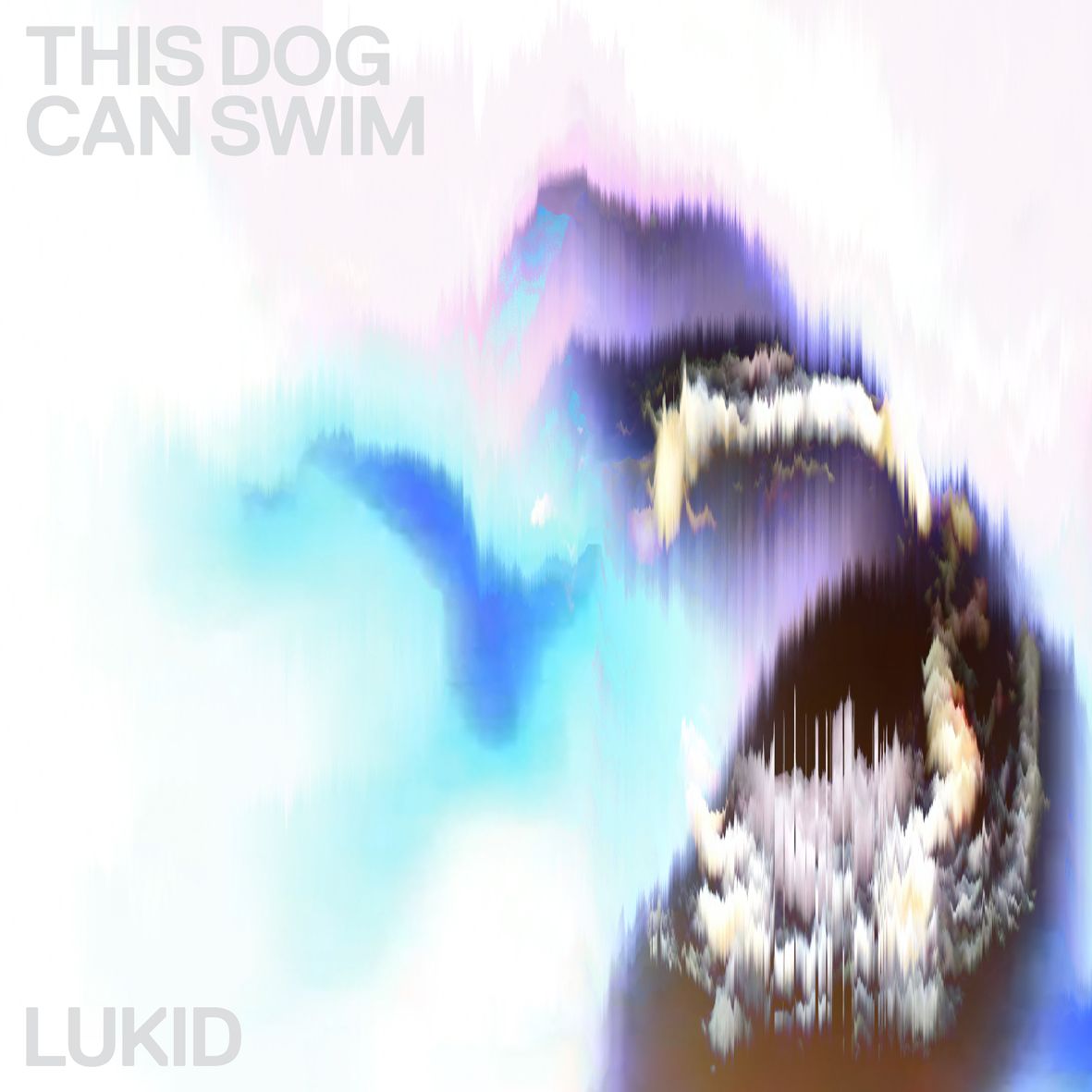 Lukid - This Dog Can Swim 12" Vinyl 12" sleeve