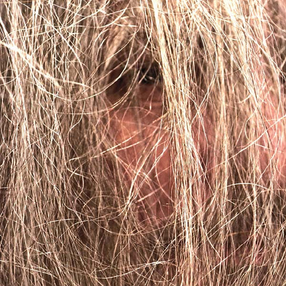 LUMINOUS BODIES - Luminous Bodies Vinyl LP