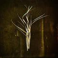 LUMISOKEA - Mnemosyne Vinyl LP