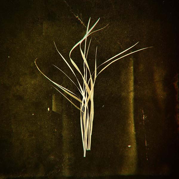 LUMISOKEA - Mnemosyne Vinyl LP