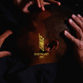 Lunice - CCCLX Vinyl LP w/ DL