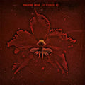 Machine Head - Burning Red (180 Gram Black Vinyl) [Import] Vinyl