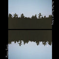 Maggie Rogers - Now That The Light Is Fading (10" Vinyl) Vinyl