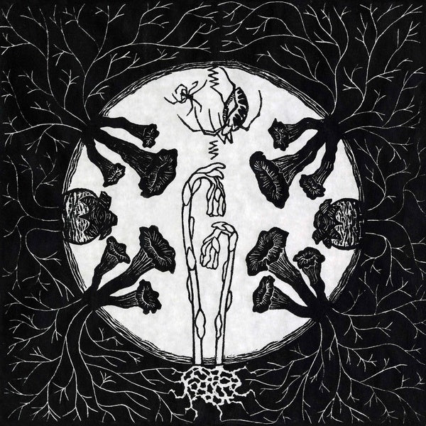Magic Tuber Stringband - Tarantism Vinyl LP