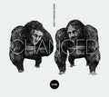 MARIO & VIDIS - Changed CD 2CD