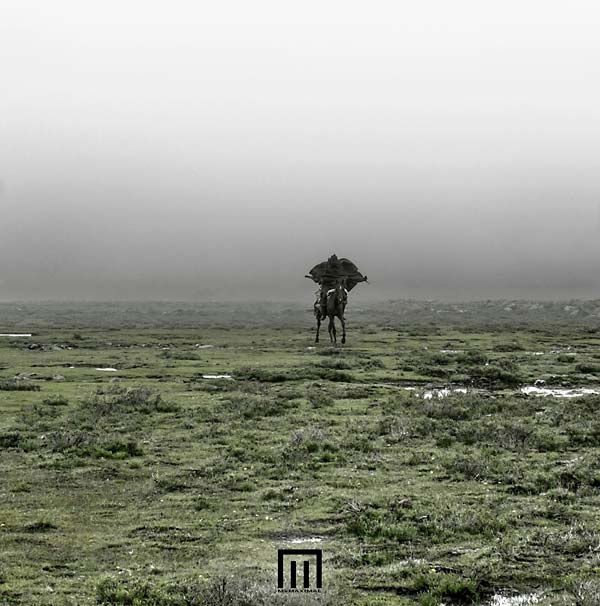 MARKUS WORMSTORM - Figure In Field Vinyl LP