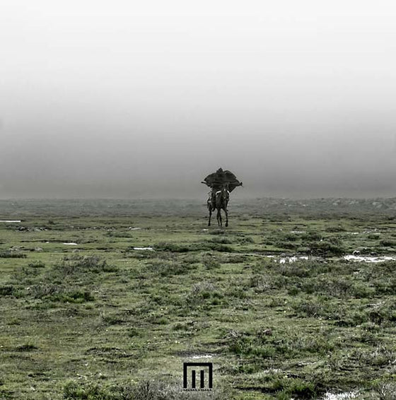 MARKUS WORMSTORM - Figure In Field Vinyl LP