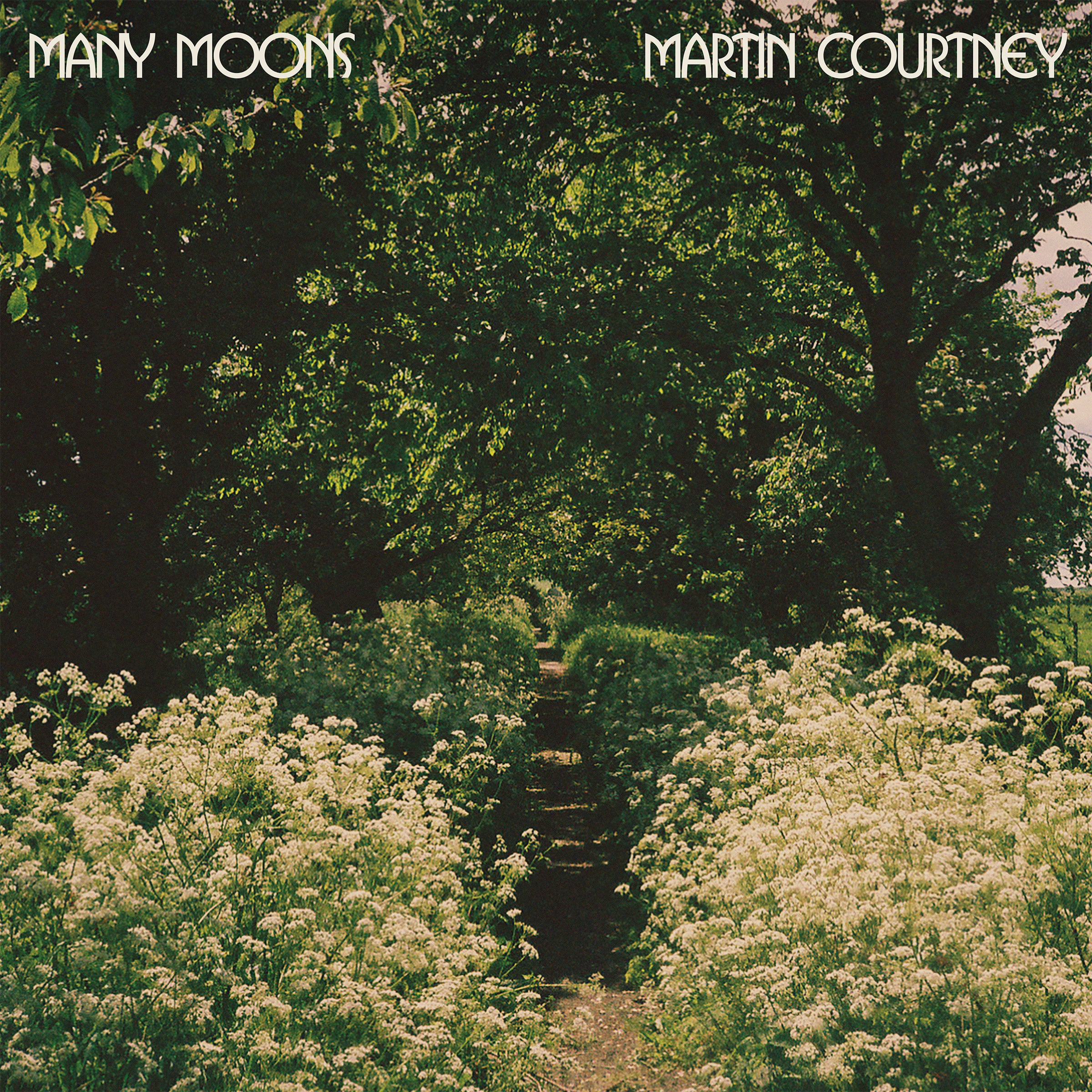 Martin Courtney - Many Moons Vinyl LP + MP3 DL Card