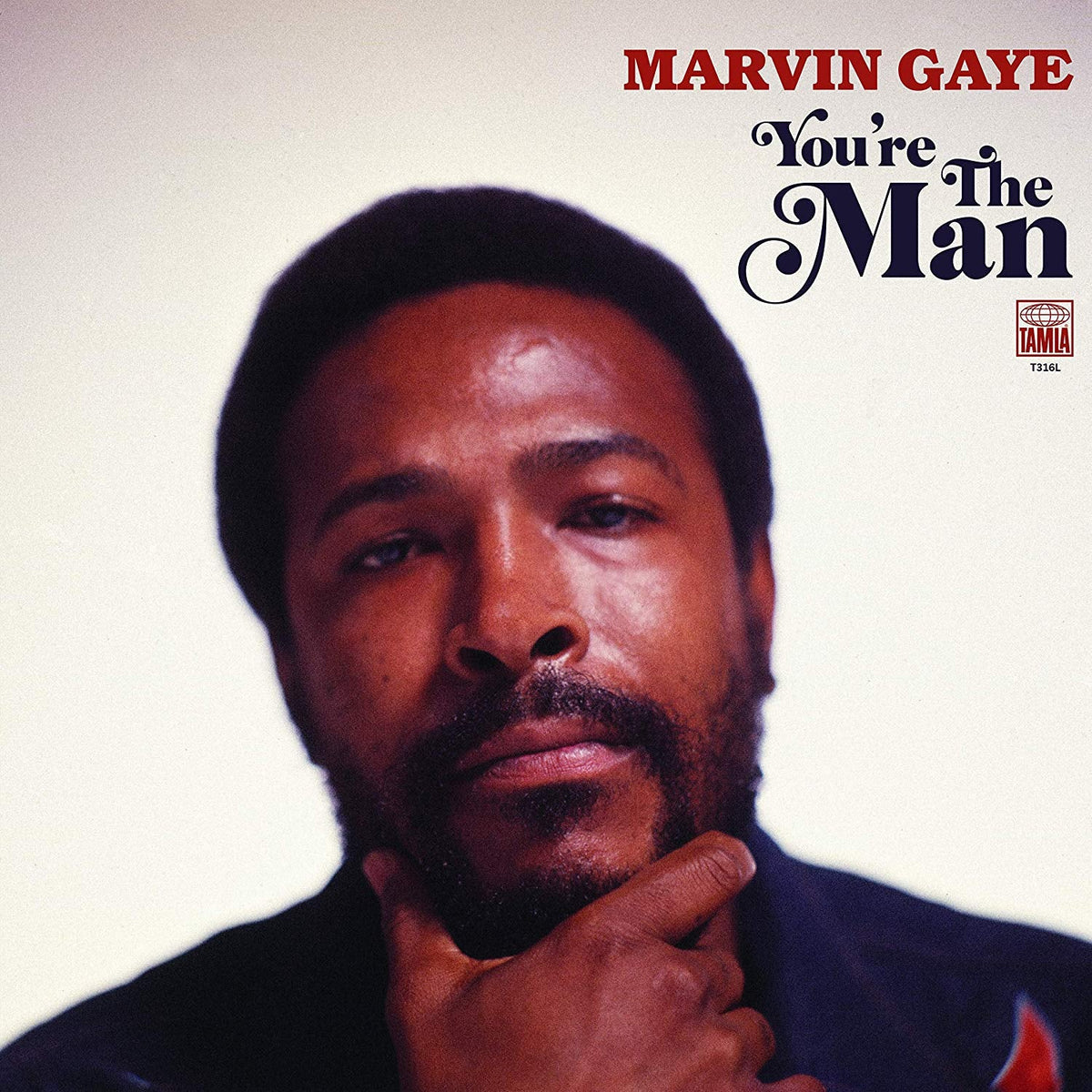 Marvin Gaye - You're The Man Vinyl LP