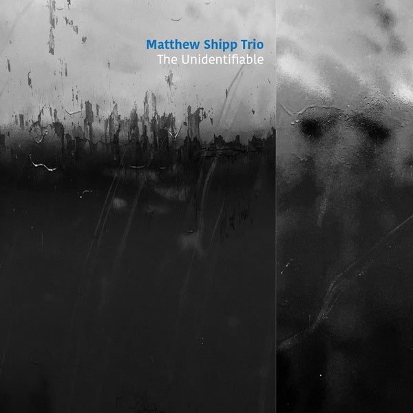 MATTHEW SHIPP TRIO - The Unidentifiable CD CD