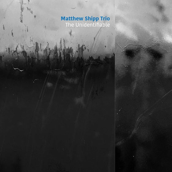 MATTHEW SHIPP TRIO - The Unidentifiable CD CD